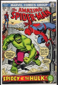The Amazing Spider-Man #119 (1973) Spider-Man