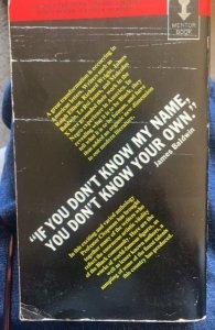 Black voices, 1968 paperback, edited by Chapman