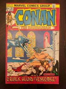 Conan the Barbarian #20 (1972) - VF