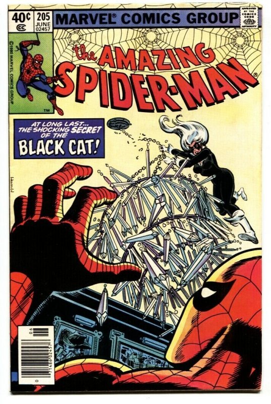 AMAZING SPIDER-MAN #205 comic book 1980-BLACK CAT-MARVEL VF
