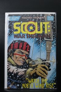 Scout: War Shaman #12 (1989)