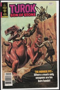 Turok, Son of Stone #125 (1980)