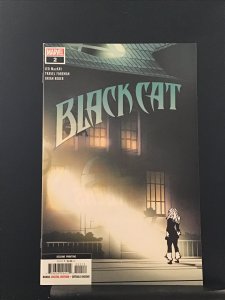 Black Cat #2