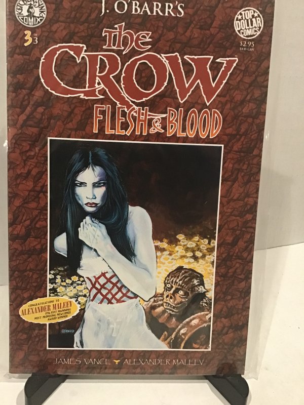 The Crow: Flesh and Blood #3 (1996)