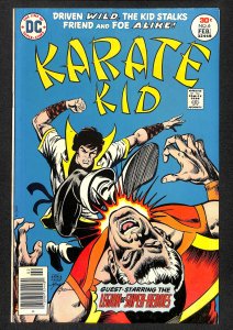 Karate Kid #6 (1977)