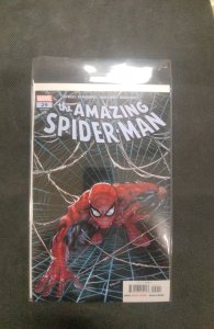 The Amazing Spider-Man #29 (2023)