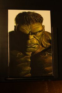 The Immortal Hulk #37 Ross Variant Cover (2020) Hulk