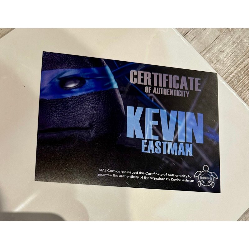 TMNT 11x17 Art Print Signed by Kevin Eastman - Jennika
