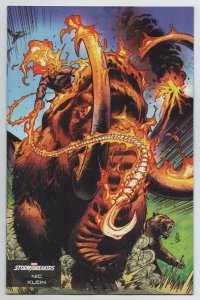 Miles Morales Spider-Man #24 Klein Stormbreakers Variant (Marvel, 2024) VF/NM