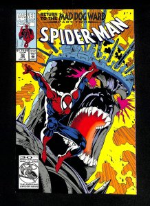 Spider-Man #30