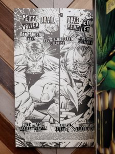 Hulk / Pitt (Marvel Comics 1996) Peter David Art By Dale Keown & Dan Panosian VF