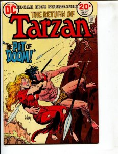Tarzan #223  1973 - DC  -NM- - Comic Book