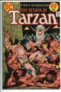 Tarzan--#222--1973--COMIC BOOK--DC--VF+