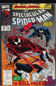 The Spectacular Spider-Man #201 (1993) Spider-Man