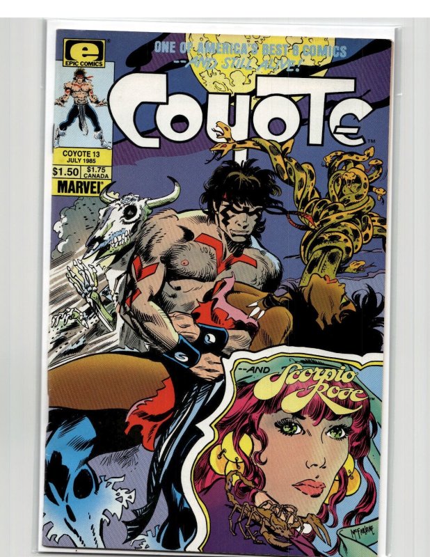 Coyote #13 (1985) Scorpio Rose