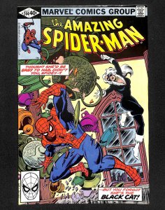 The Amazing Spider-Man #204 (1980)