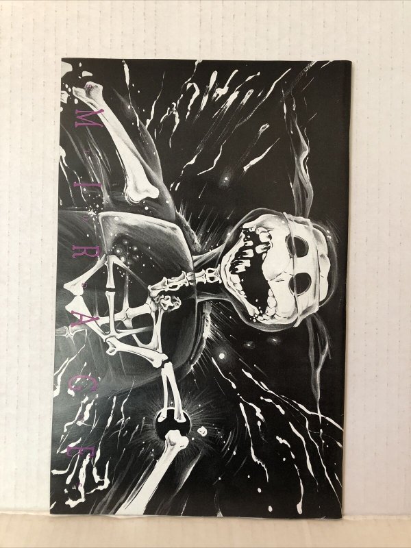 Teenage Mutant Ninja Turtles #22