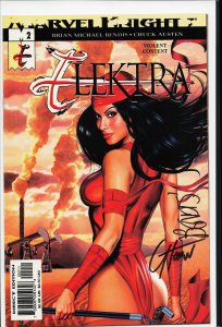 The Punisher #19 Direct Edition (2002) Punisher