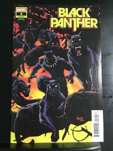 Black Panther #8 Paquette Variant Cover Marvel 2022 NM+