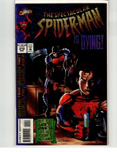 The Spectacular Spider-Man #219 (1994) Spider-Man