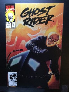 Ghost Rider #13 (1991)