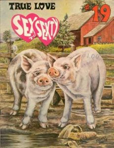 Sex to Sexty #19 VG ; SRI | low grade comic Bill Ward