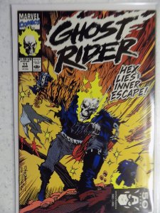 Ghost Rider #11 (1991)
