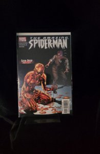 The Amazing Spider-Man #516 (2005)  