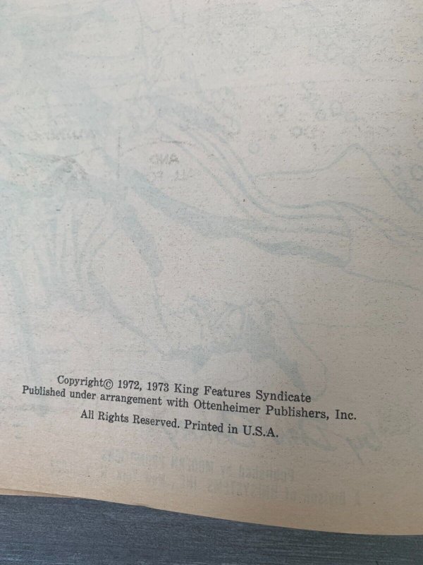 1973 FLASH GORDON Giant Comic Album by Dan Barry VG- 3.5 Modern Promotions