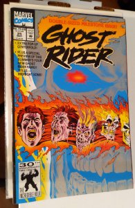 Ghost Rider #25 (1992)