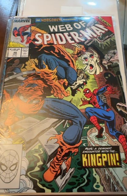 Web of Spider-Man #48 (1989) Spider-Man 