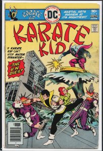 Karate Kid #2 (1976) Karate Kid