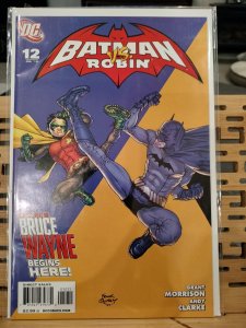 Batman and Robin #12 (2010)