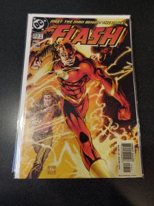 The Flash #213 (2004)