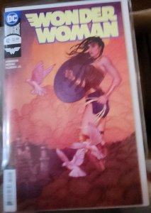 Wonder Woman #42 Variant Cover (2018)