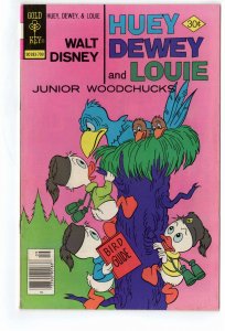 Walt Disney Huey, Dewey and Louie Junior Woodchucks #46 (1977)