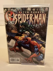 Peter Parker: Spider-Man #46  2002  9.0 (our highest grade)