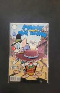 Pinky and the Brain #5 (1996)