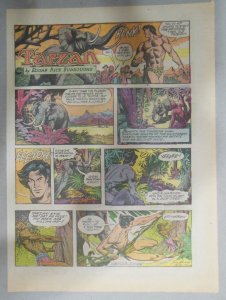 (42/52) Tarzan Sunday Pages  by Russ Manning from 1976 All Tabloid Page Size!