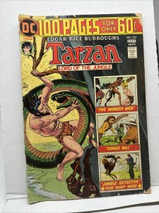 TARZAN #232 Joe Kubert c/s/a, 100 Pages, Giant, DC Comics 1974