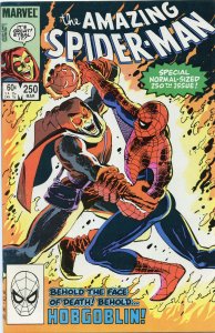 The Amazing Spider-Man #250 (1984) Hobgoblin FN 6.0 Comic Book