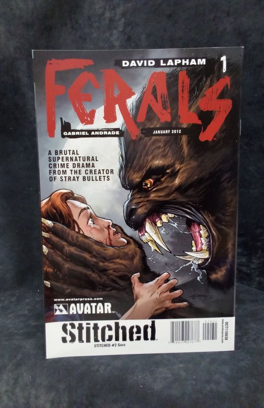 Stitched #2 Gore Cover (2011)