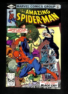 Amazing Spider-Man #204 Black Cat!
