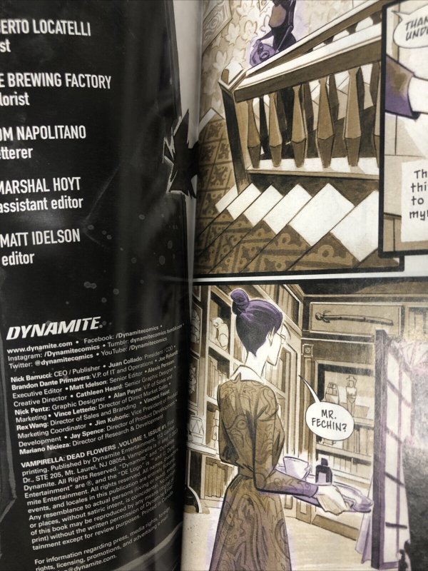 Vampirella :Dead Flowers (2023)#1 Variant (NM) Dynamite Entertainment • Frazetta