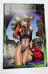 Wildstorm Swimsuit Special #1 (1994)