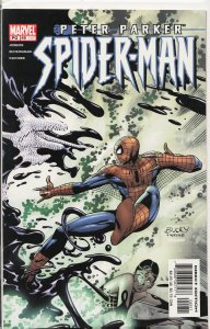 Peter Parker: Spider-Man #49 (2002) [Key Issue]