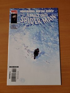 Amazing Spider-Man #556 ~ NEAR MINT NM ~ 2008 Marvel Comics
