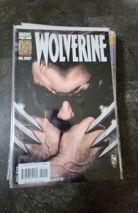 Wolverine #55 Land Cover (2007)