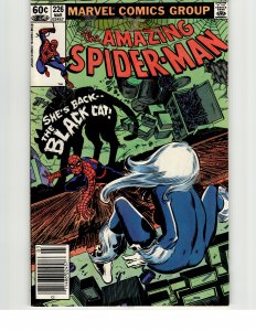 The Amazing Spider-Man #226 (1982) Spider-Man