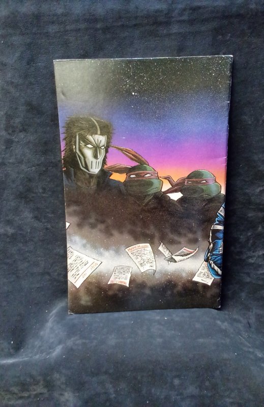 Teenage Mutant Ninja Turtles Color Classics #11 (2013)